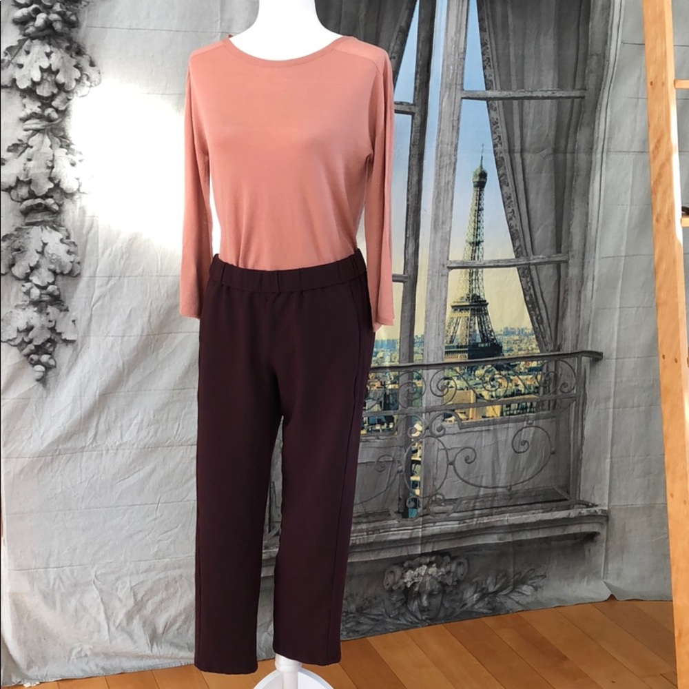 Theory Ponte Pull On Pant on Aubergine Size L